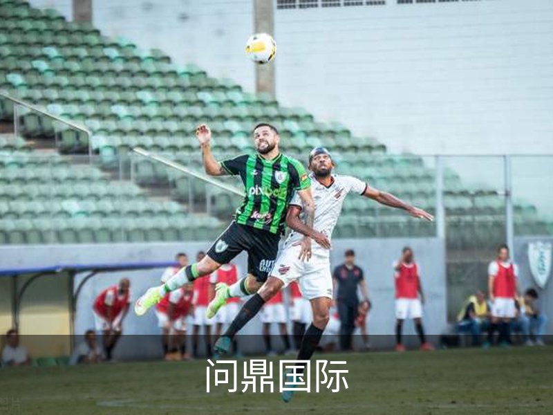 问鼎国际简介